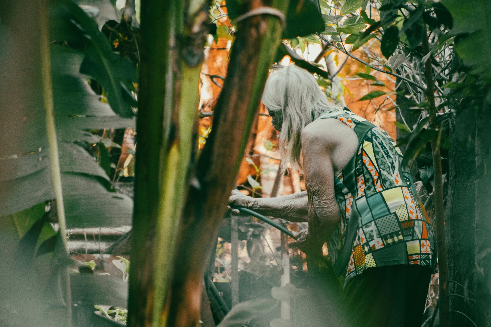 An elderly woman tends to her garden, creating a serene and fulfilling outdoor experience.